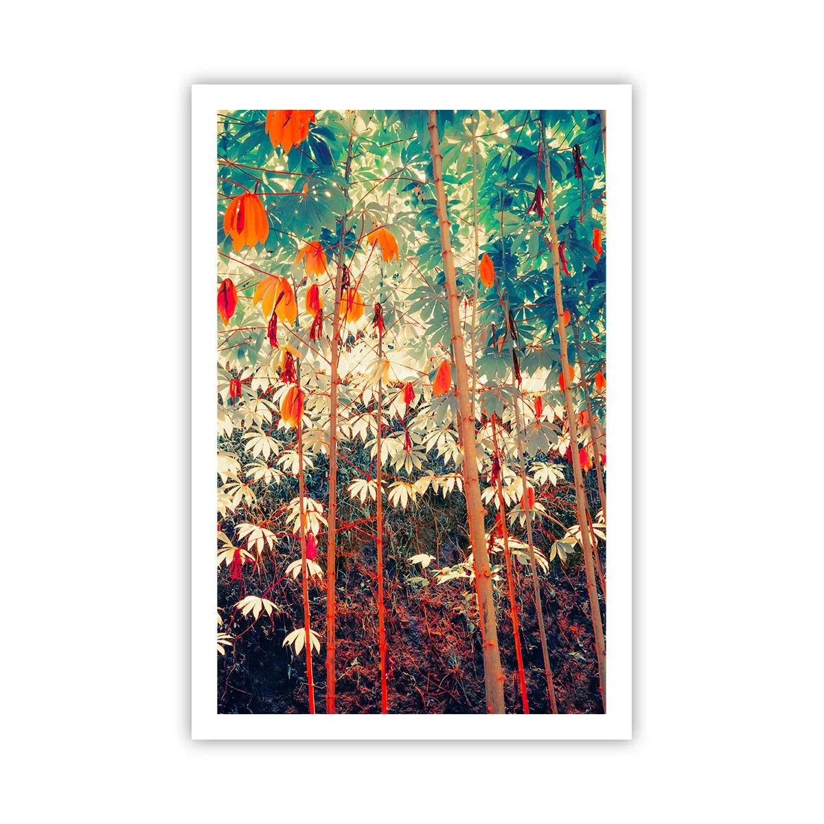 Plagát - Tajný život listov - 61x91 cm