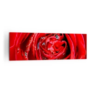 Obraz na plátne - V kvapkách rosy - 160x50 cm