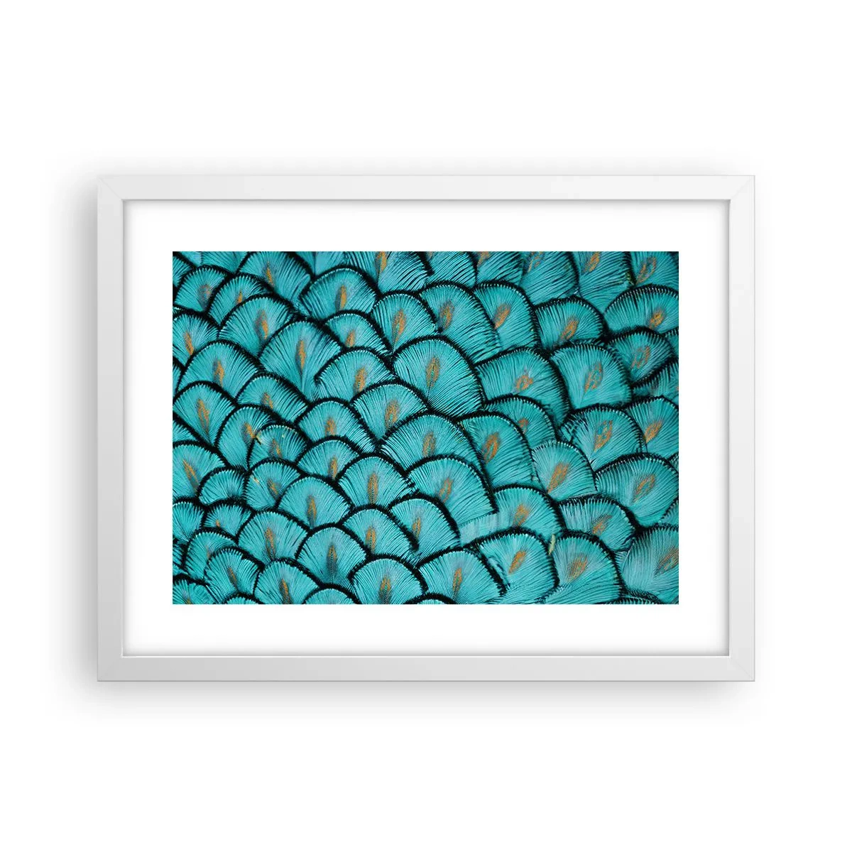 Plagát v bielom ráme - Veľká slávnosť peria - 40x30 cm