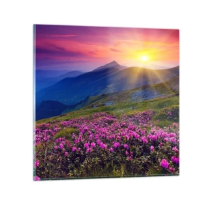 Obraz na skle - …A okolo vonia kosodrevina a voňajú byliny - 50x50 cm