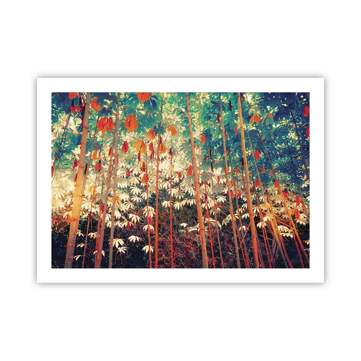 Plagát - Tajný život listov - 70x50 cm