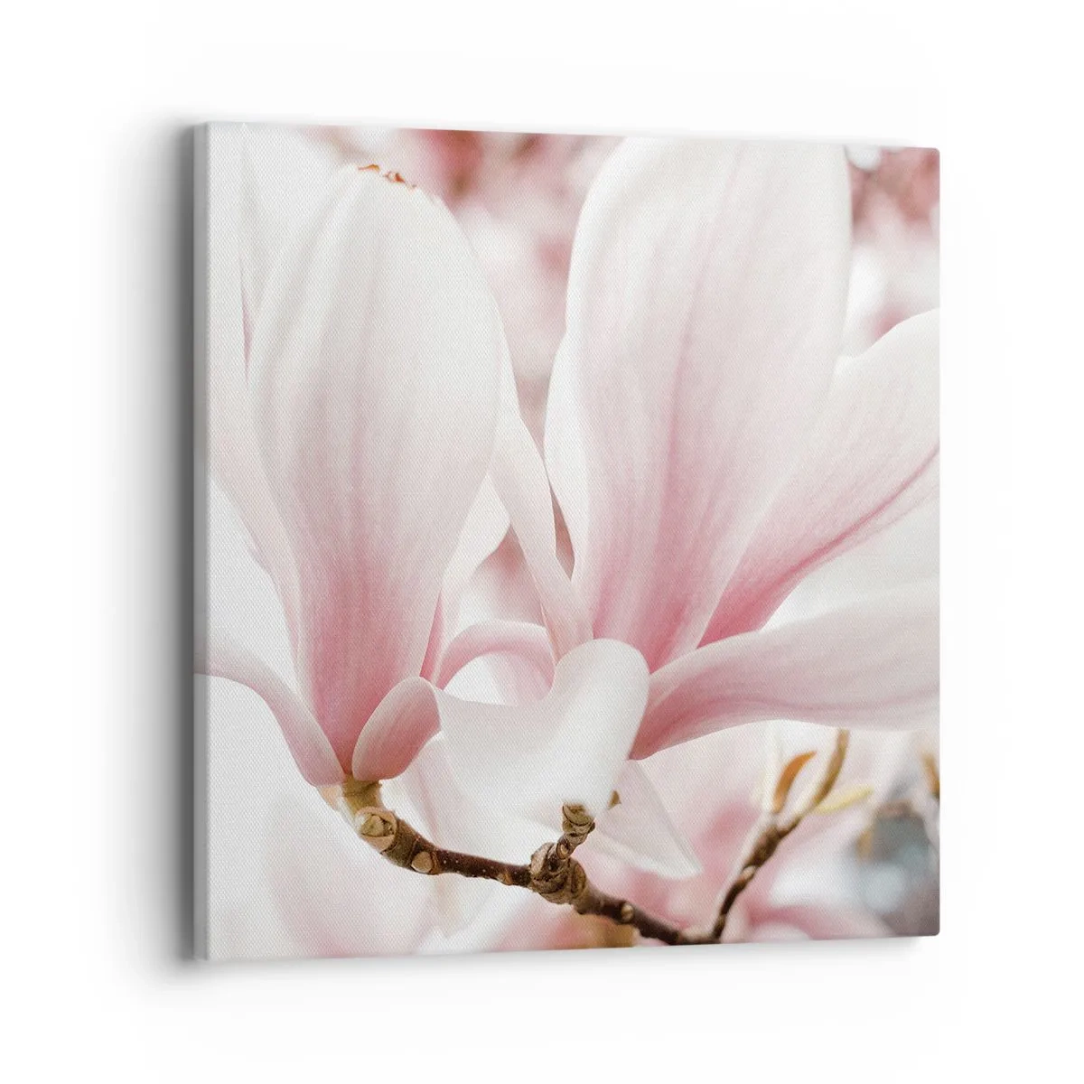 Obraz na plátne - Nesmiernosť nežnosti - 40x40 cm