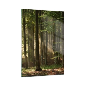 Obraz na skle - Rozžiarený v jarnom ráne - 50x70 cm
