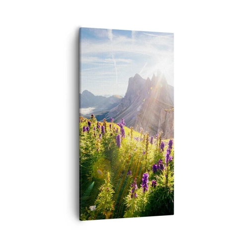 Obraz na plátne - Tajomný život bylín - 55x100 cm