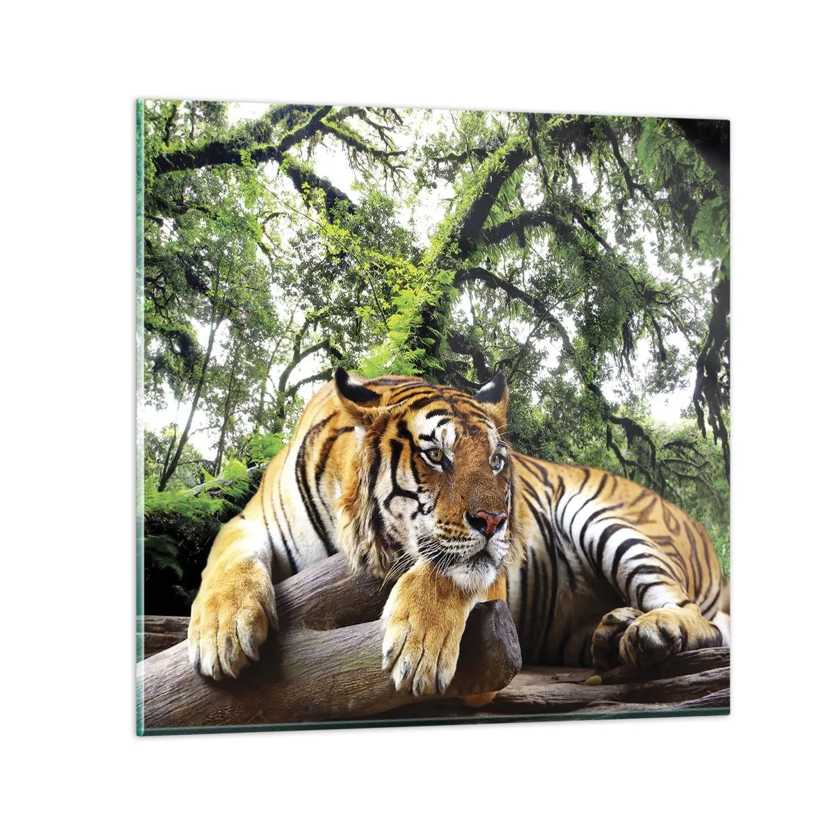 Obraz na skle - S úctou - 70x70 cm