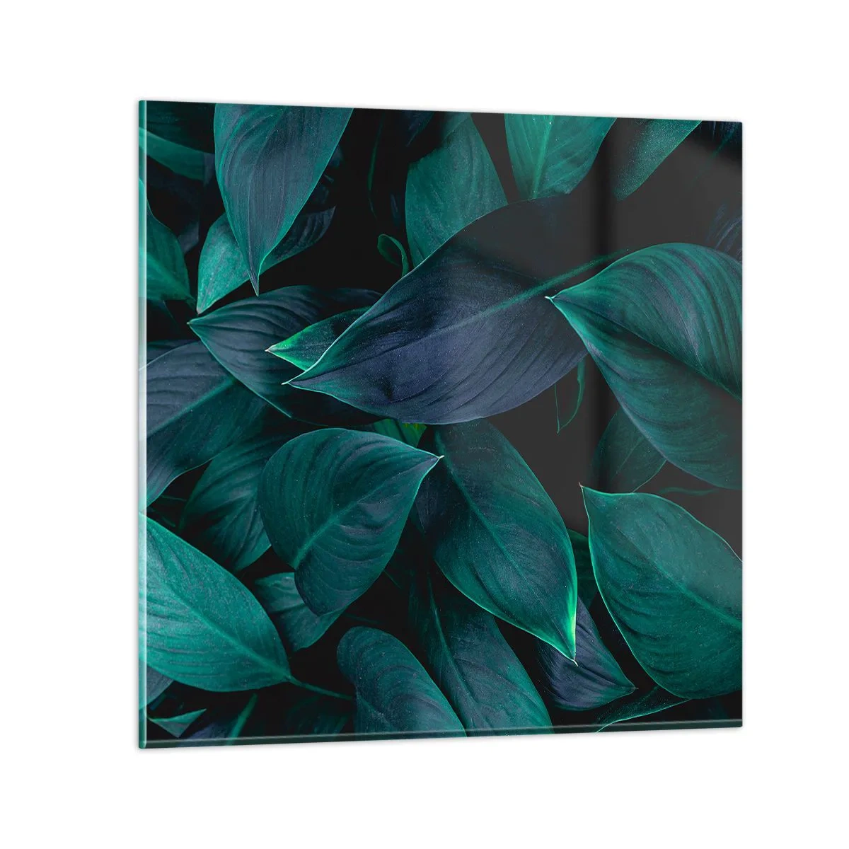 Obraz na skle - Zeleň sama o sebe - 60x60 cm