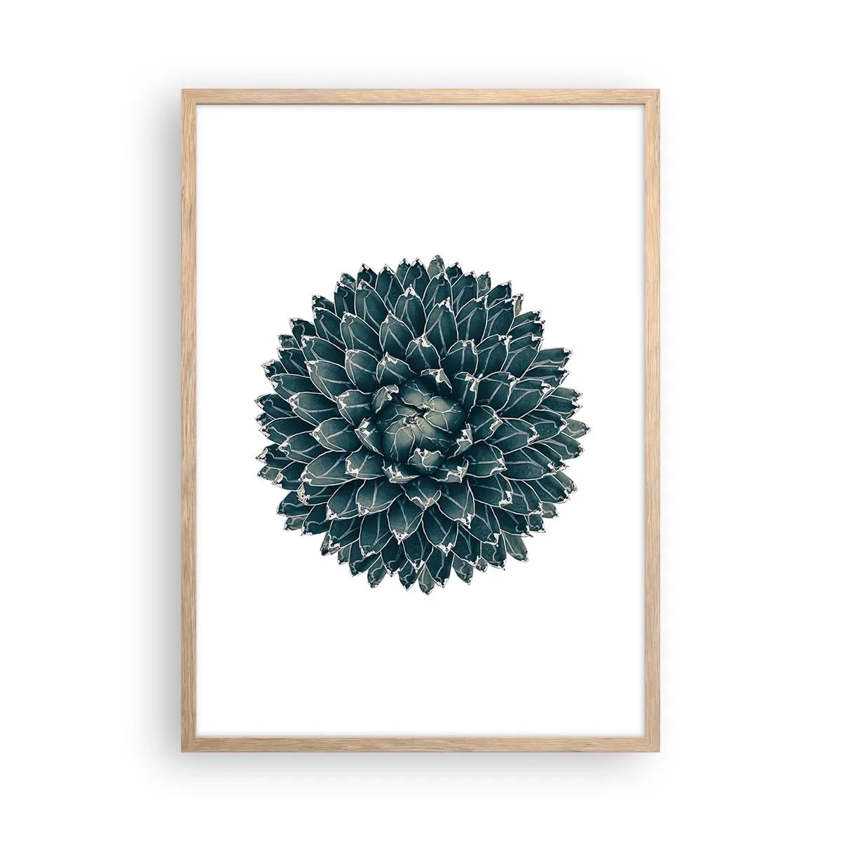 Plagát v ráme zo svetlého duba - Hviezda púšte - 50x70 cm