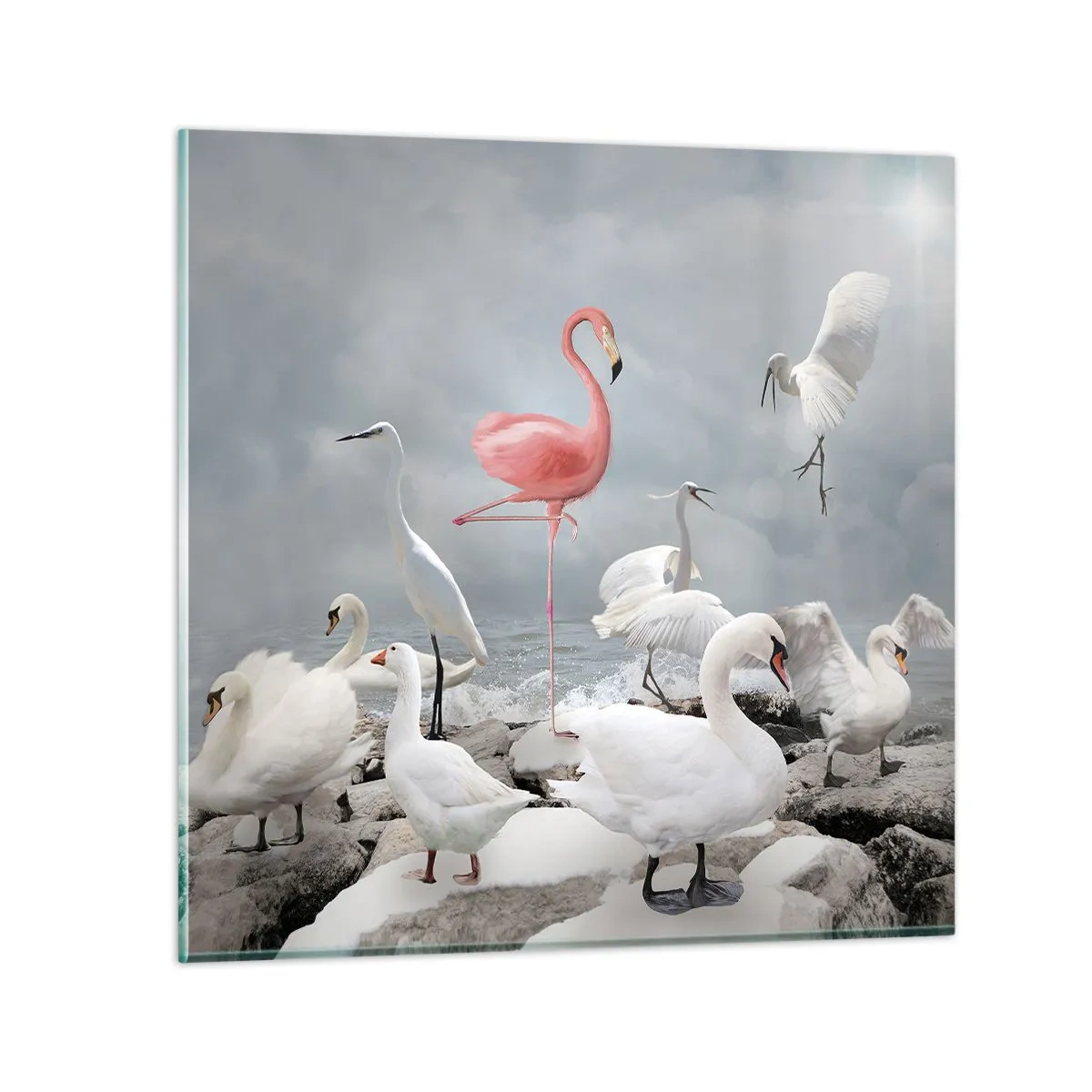 Obraz na skle - Kde som sa tu vzal? - 60x60 cm