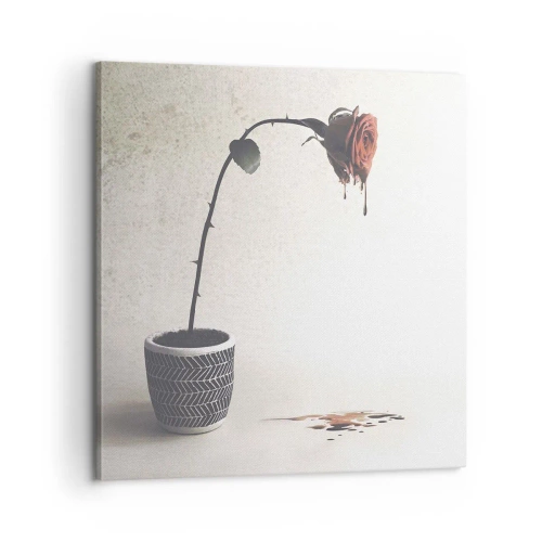 Obraz na plátne - Rosa dolorosa - 60x60 cm