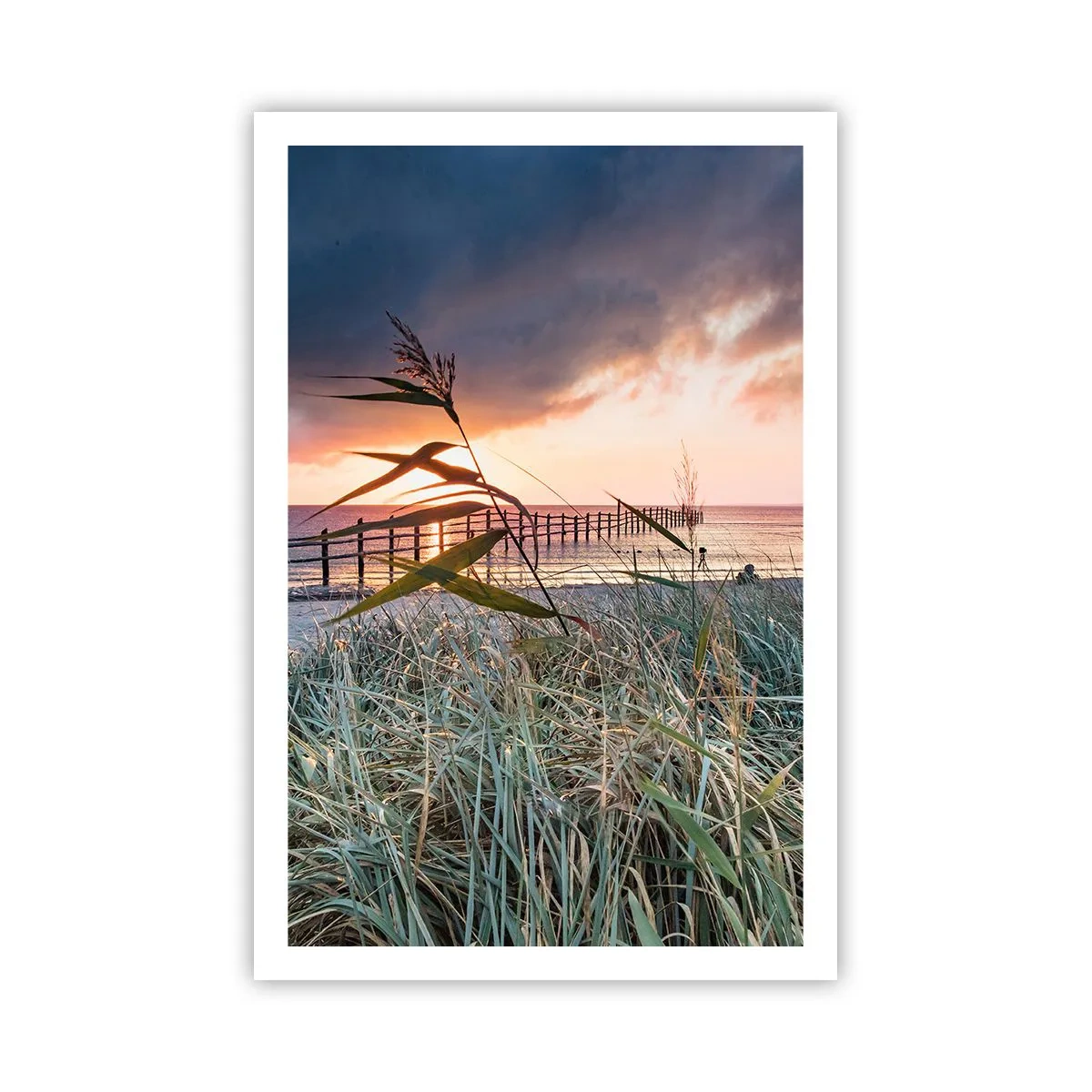 Plagát - Neodviate vetrom - 61x91 cm