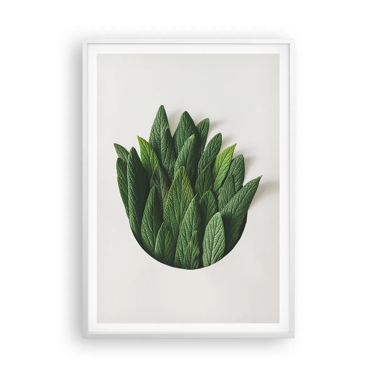 Plagát v bielom ráme - Neukojiteľná zvedavosť - 70x100 cm