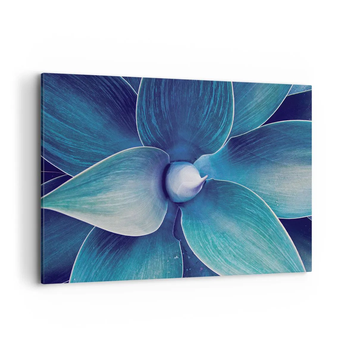 Obraz na plátne - Modrastý od neba - 120x80 cm