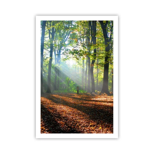 Plagát - Svetlá a tiene - 61x91 cm