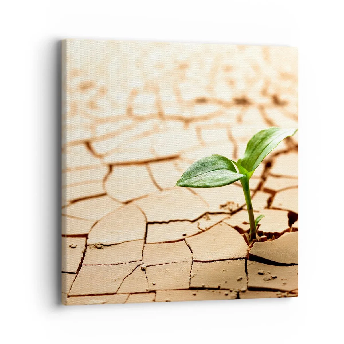 Obraz na plátne - Nespútaná sila života - 40x40 cm