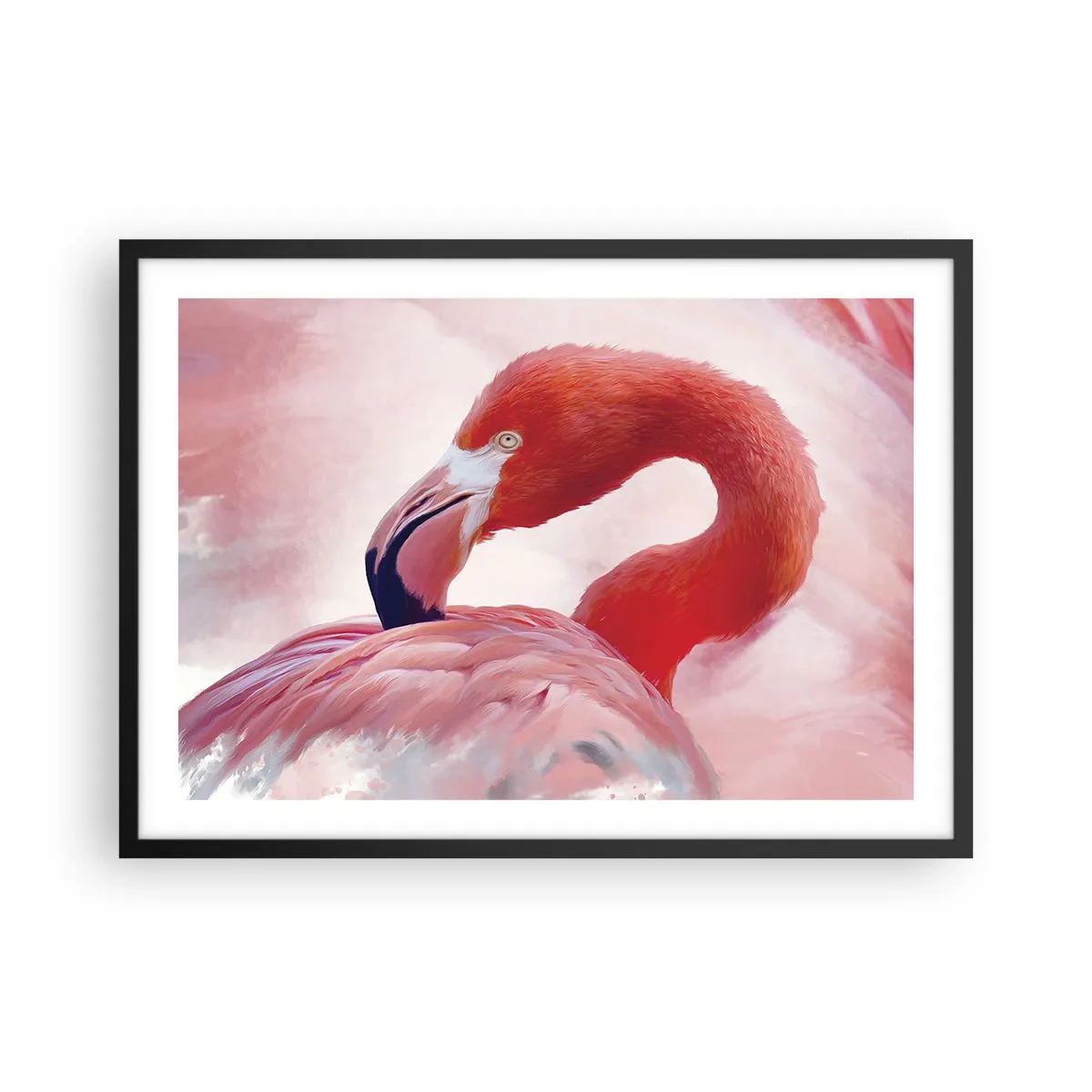 Plagát v čiernom ráme - Vtáčia krása - 70x50 cm