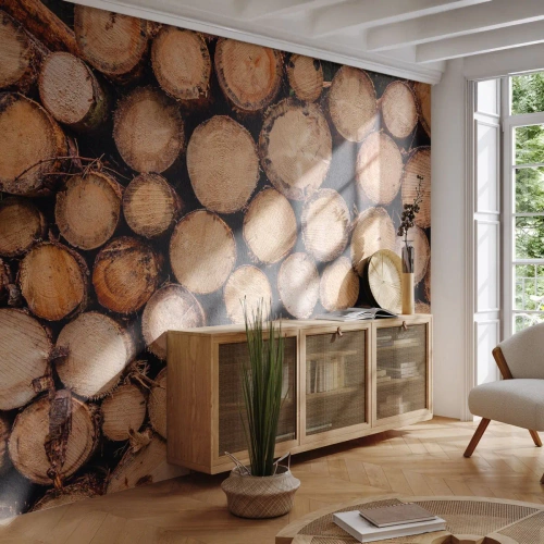 Fototapeta Premium Sand - Nový začiatok - Drevo, Drevené polená, Príroda - 450x315 cm