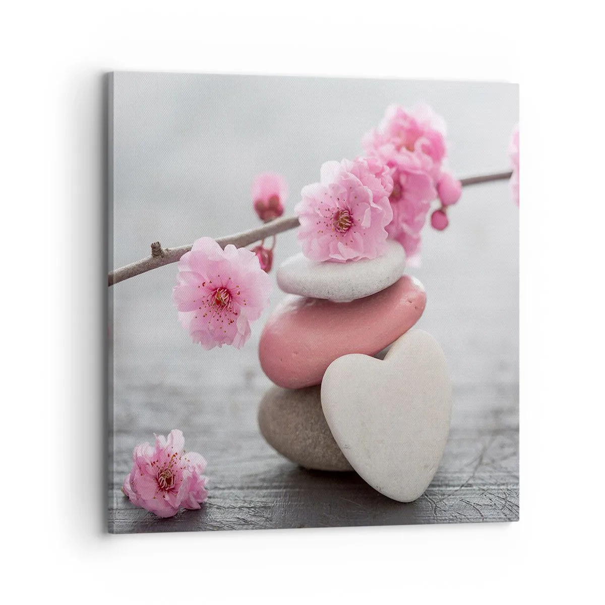 Obraz na plátne - Blaženosť s višňovým kvetom - 70x70 cm