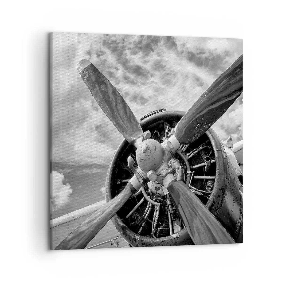 Obraz na plátne - Dobyvateľ oblohy - 50x50 cm