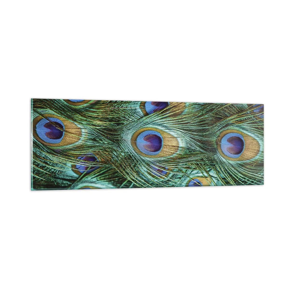 Obraz na skle - Páví pohľad - 90x30 cm