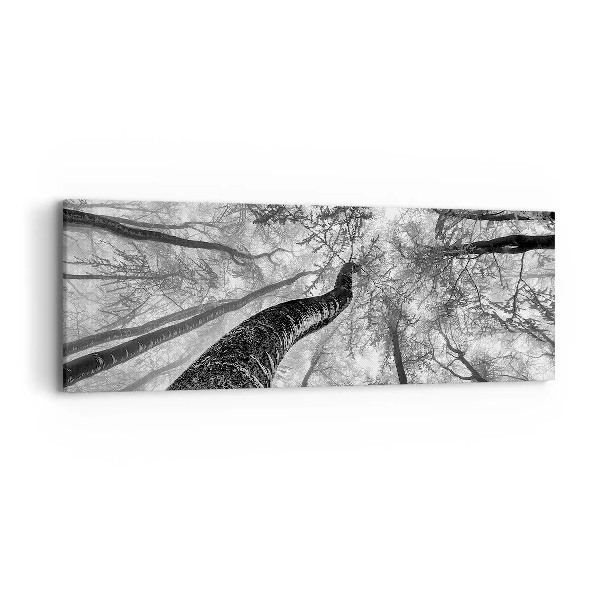 Obraz na plátne - Závod ku svetlu - 90x30 cm