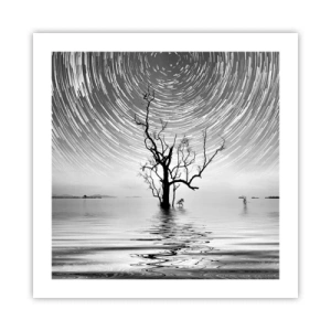 Plagát - Symfónia prírody - 50x50 cm