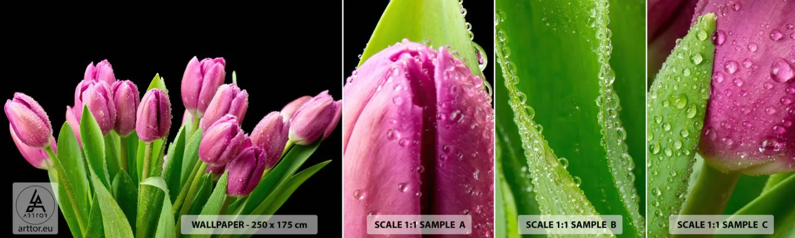 Vzorka Fototapeta Standard Eco - Ľaliové potešenie jari - Kvety, Tulipány, Kytica kvetov - 100x30 cm