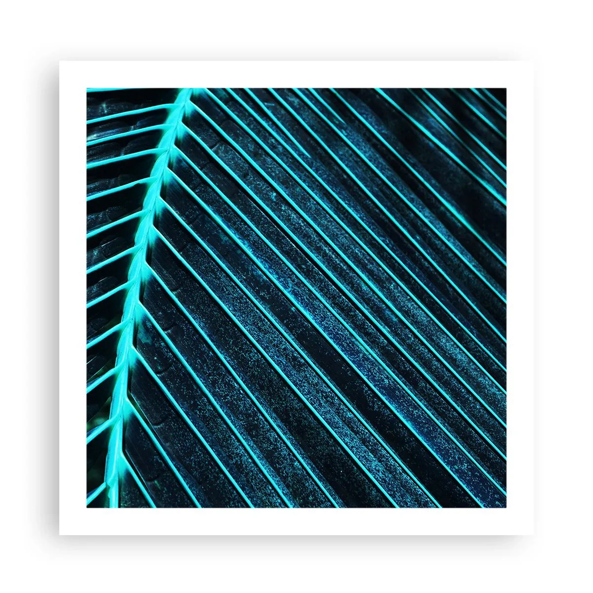 Plagát - Textúra zelene - 60x60 cm