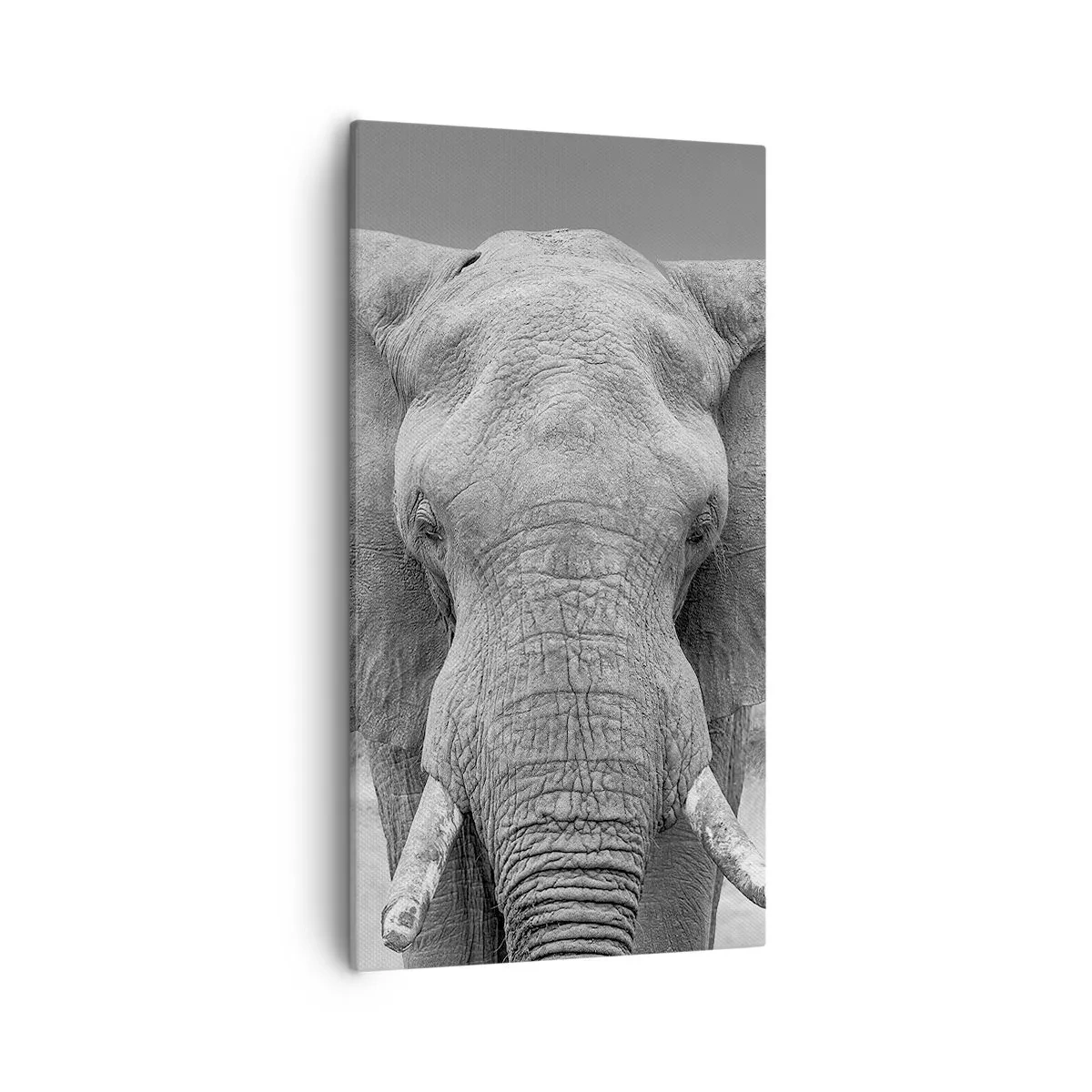 Obraz na plátne - Vitajte v mojom svete - 55x100 cm