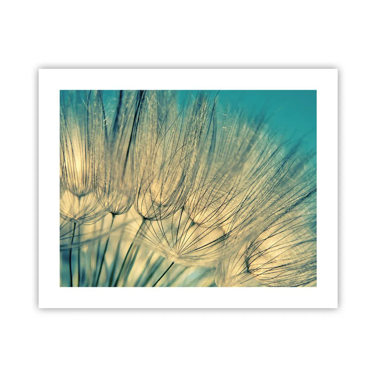 Plagát - Čakanie na vietor - 50x40 cm