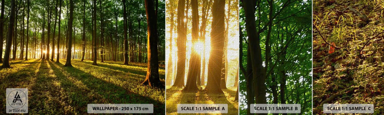 Vzorka fototapety Premium Canvas - Fotografie všetkých jarí - Krajina, les, Príroda - 100x30 cm