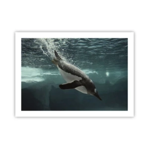 Plagát - Vitajte v mojom svete - 70x50 cm