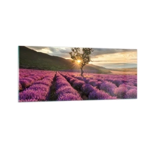Obraz na skle - Aróma vo fialovej - 100x40 cm