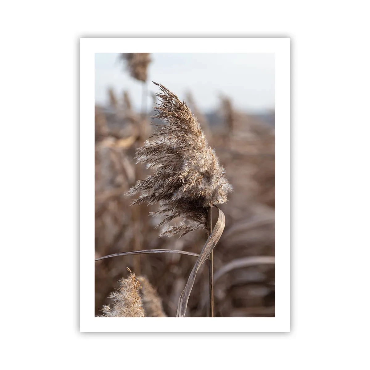 Plagát - Čas odletieť s vetrom - 50x70 cm