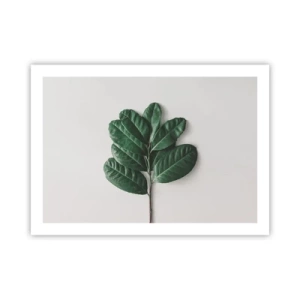 Plagát - Kresba samotnej prírody - 70x50 cm