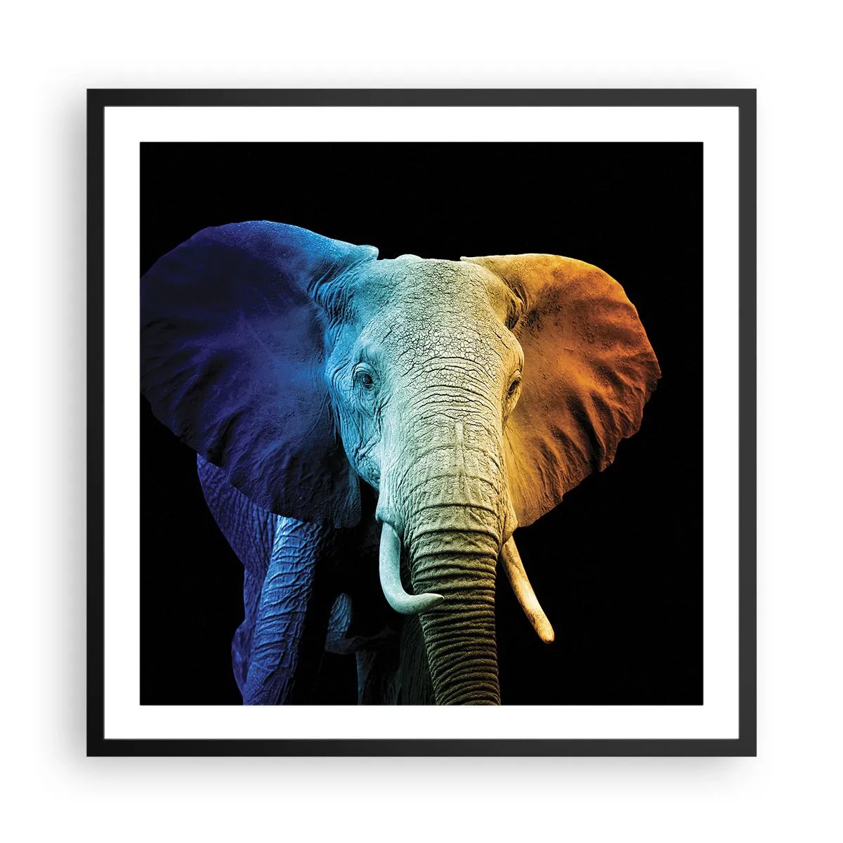 Plagát v čiernom ráme - Excentrický muž, avšak nie podivín - 60x60 cm