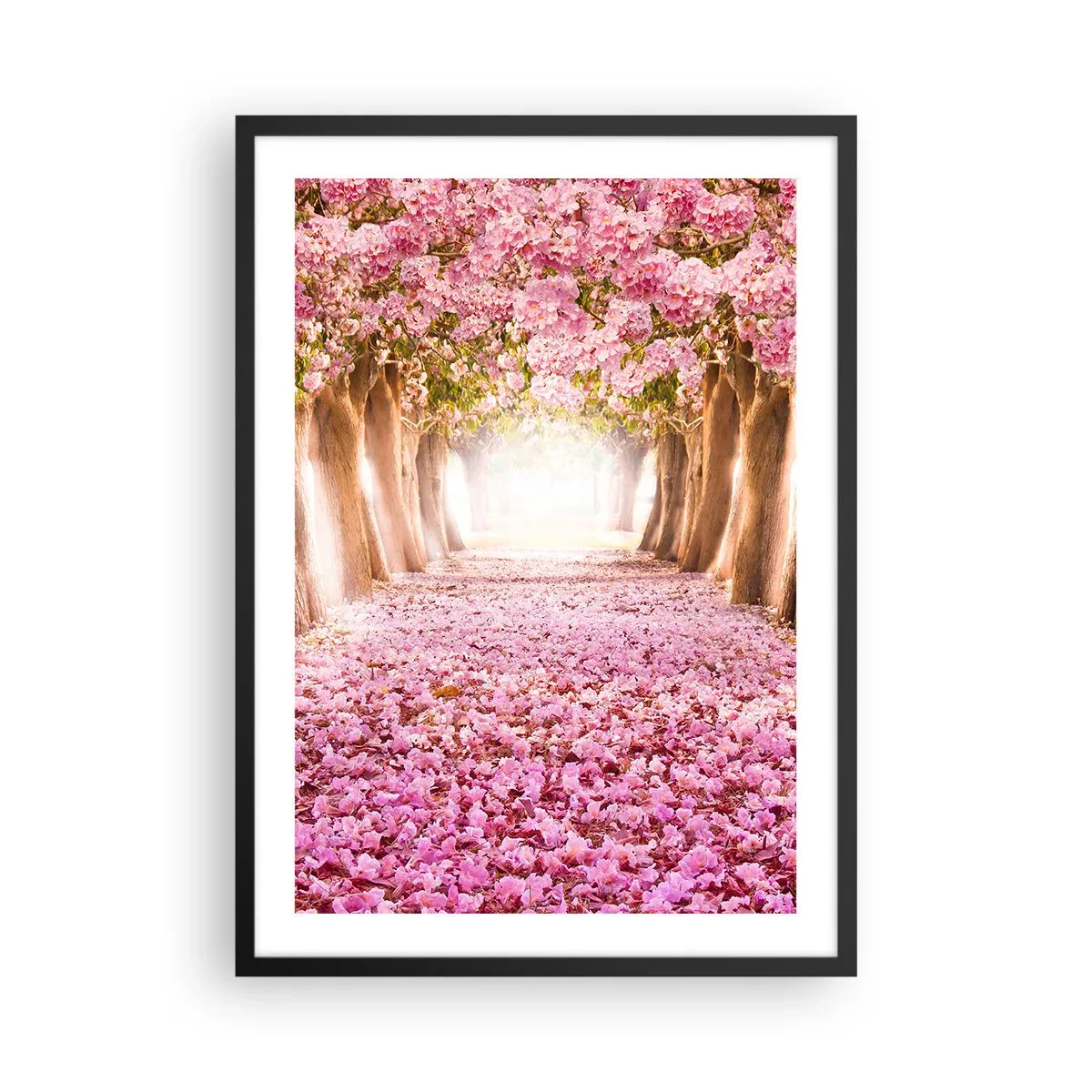 Plagát v čiernom ráme - Alej čerešní s ružovým kvetinovým kobercom - 50x70cm - Cesta do raja - Moderná nástenná dekorácia do obývacej izby a spálne ARTTOR