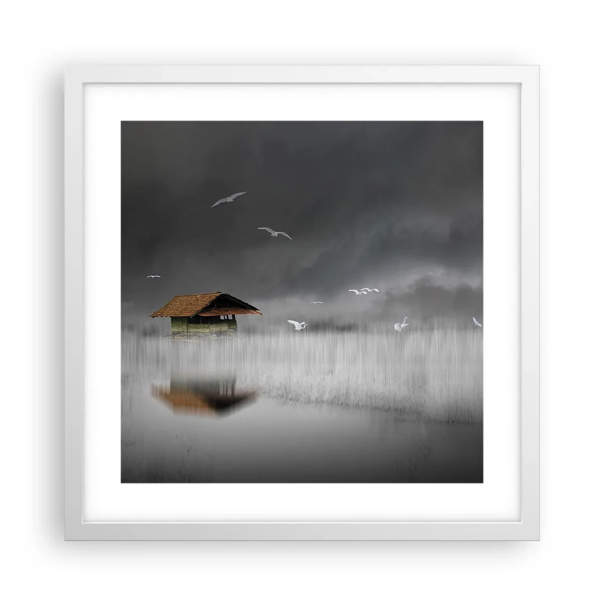 Plagát v bielom ráme - Úkryt pred dažďom - 40x40 cm