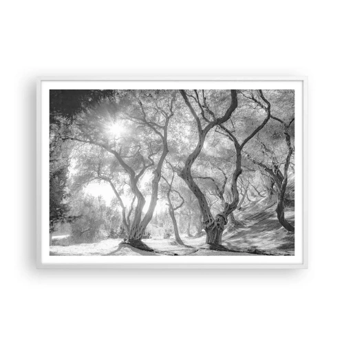 Plagát v bielom ráme - V olivovom háji - 100x70 cm