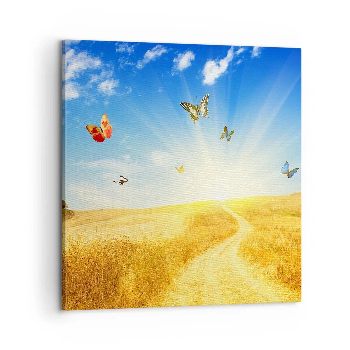 Obraz na plátne - Ako nemilovať leto? - 60x60 cm