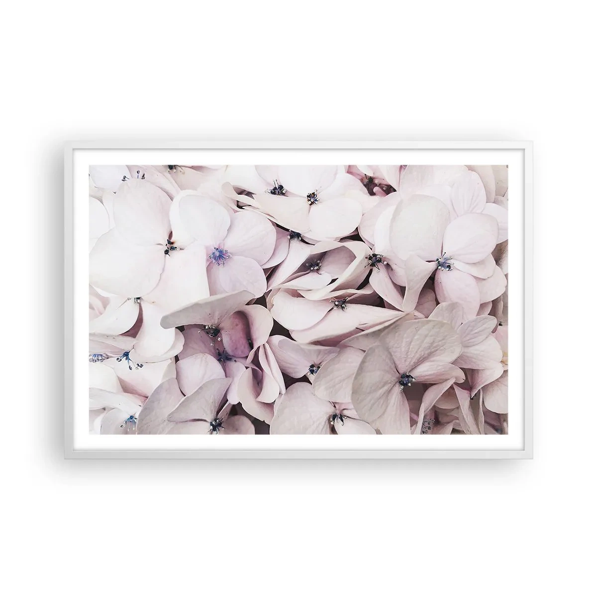 Plagát v bielom ráme - V záplave kvetov - 91x61 cm