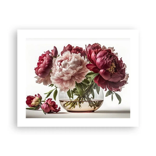 Plagát - V plnom rozkvete krásy - 50x40 cm