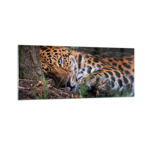 Obraz na skle - Ver mi - 100x40 cm