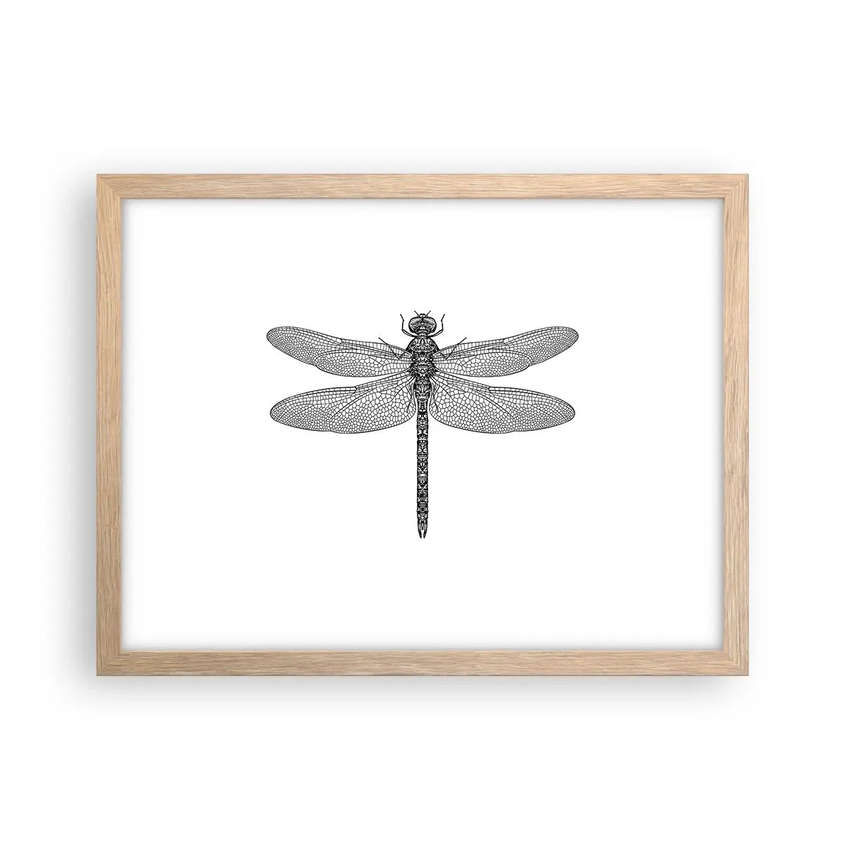 Plagát v ráme zo svetlého duba - Presnosť prírody - 40x30 cm