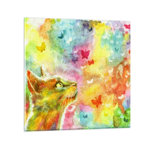 Obraz na skle - Nezmysly v mačacom raji - 50x50 cm