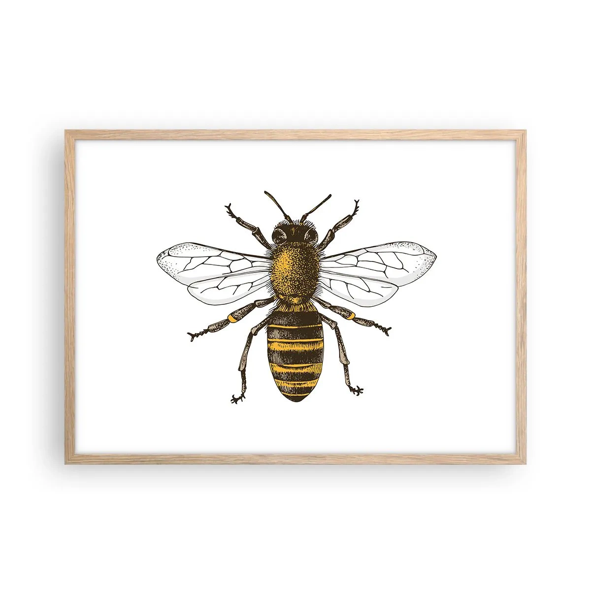 Plagát v ráme zo svetlého duba - Krásna a dobrá - 70x50 cm