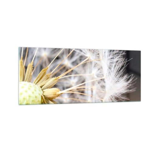 Obraz na skle - Tesne pred odletom - 100x40 cm