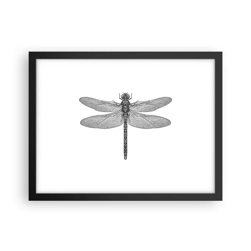 Plagát v čiernom ráme - Presnosť prírody - 40x30 cm