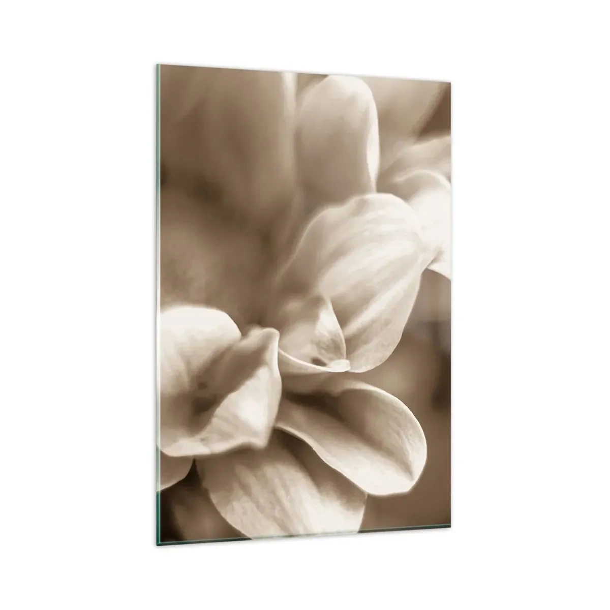 Obraz na skle - Nežné ako úsmev - 80x120 cm