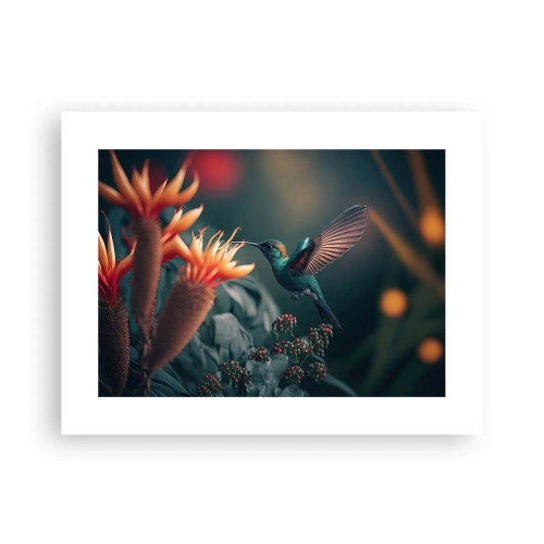 Plagát - Skutočne pestrý život - 40x30 cm