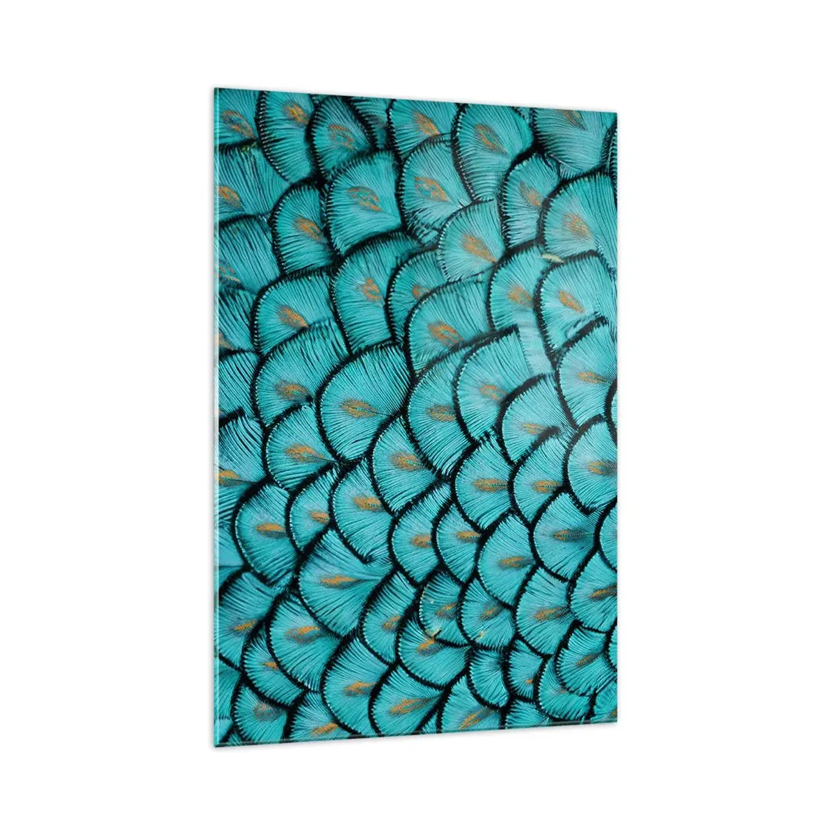 Obraz na skle - Veľká slávnosť peria - 70x100 cm